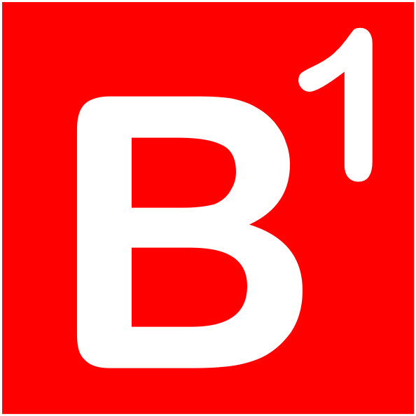 B1 main image